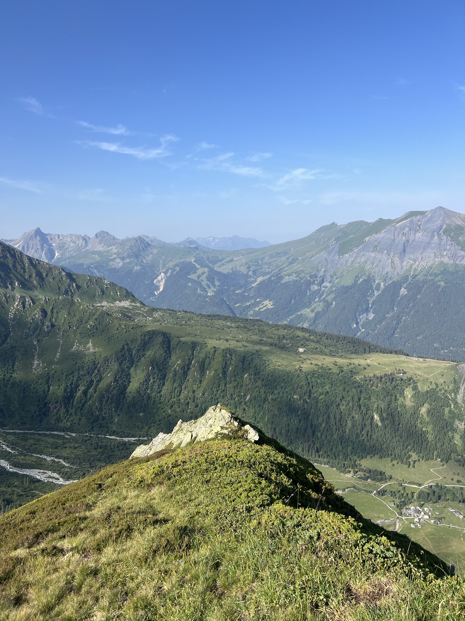 Crête herbeuse face à la chaîne du Mont-Blanc